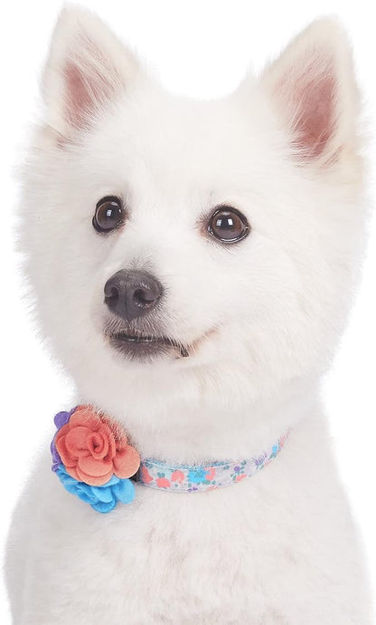 Blueberry Pet Floral Dog Collar with Detachable Flower, Medium, Lavender, Adjustable Neck 14.5"-20", 3/4" Width, Eco-Friendly Buckle, Stylish Dog Collars for Medium Dogs, Safe Puppy Collar