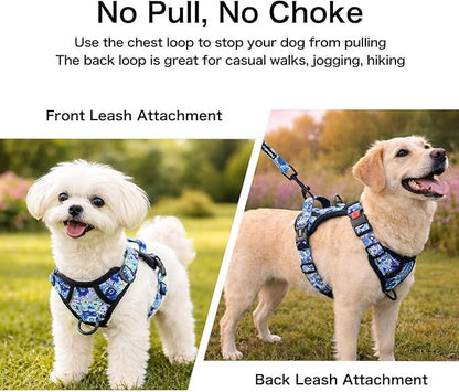 Petmolico No Pull Dog Harness Set with Leash Attachment Easy Control Handle Reflective Vest Small Breed, Puppy Vest and Leash Set with Poop Bag Holder, Small - Blue Daisy