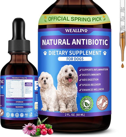 Dog Antibiotics Support - Natural Antibiotics Care for Dogs Herbal Supplement for Cough Allergy Itch Relief Immune Support Dog UTI Comfort for All Breeds & Ages - 60 ml/2 Fl Oz Bacon Flavor