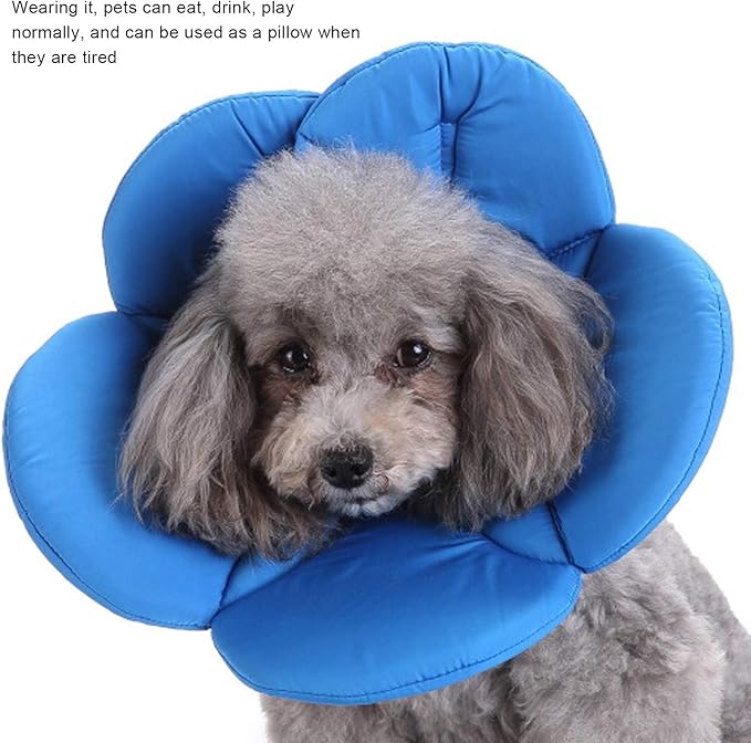 Dog Cone Collar, Wound Healing Protective Cone Surgery Recovery Collars Dog Donut Collar After Surgery Elizabethan Collar for Dogs Adjustable Soft Neck Cone for Small Pet (M)