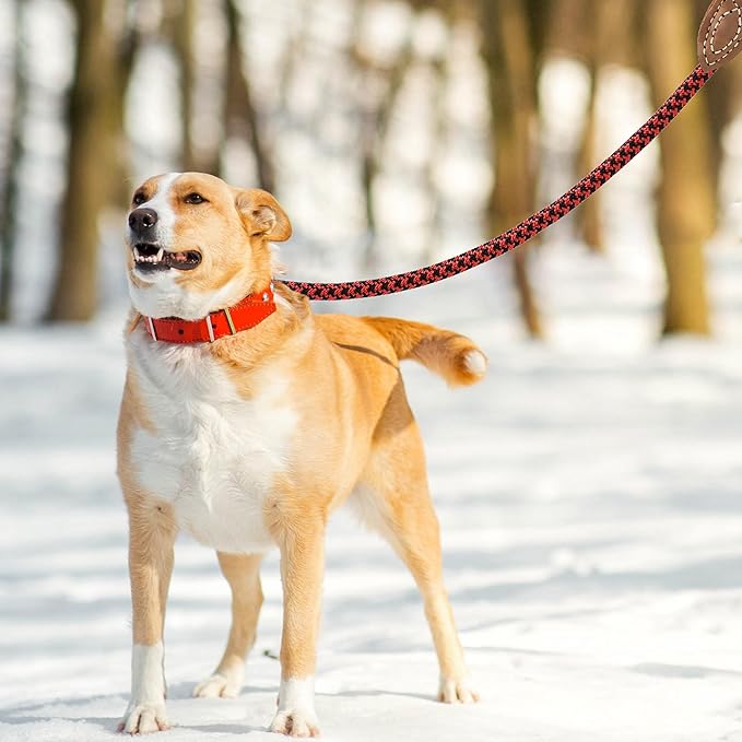 Mile High Life | Mountain Climbing Dog Rope Leash with Heavy Duty Metal Sturdy Clasp | Genuine Leather Tailored Connection with Strong Stitches (Red Black, 72 Inch (Pack of 1))