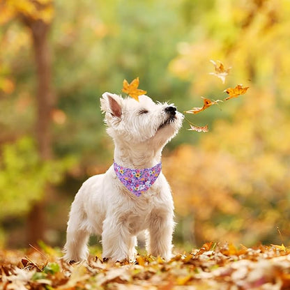EXPAWLORER Dog Collar and Leash Set - Embroidery Floral Dog Bow Tie and Bandana Collar with Bell, Cute Flower Pet Collars and Rotating Leash No Tangle for Outdoor Walking, Purple S