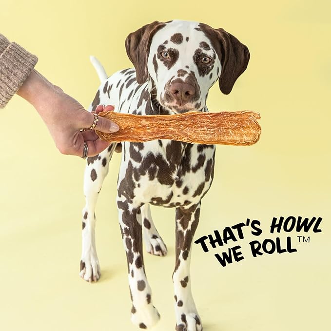 Polka Dog Bakery Chicken Strip Jerky Dog Treat, 4-Ounce