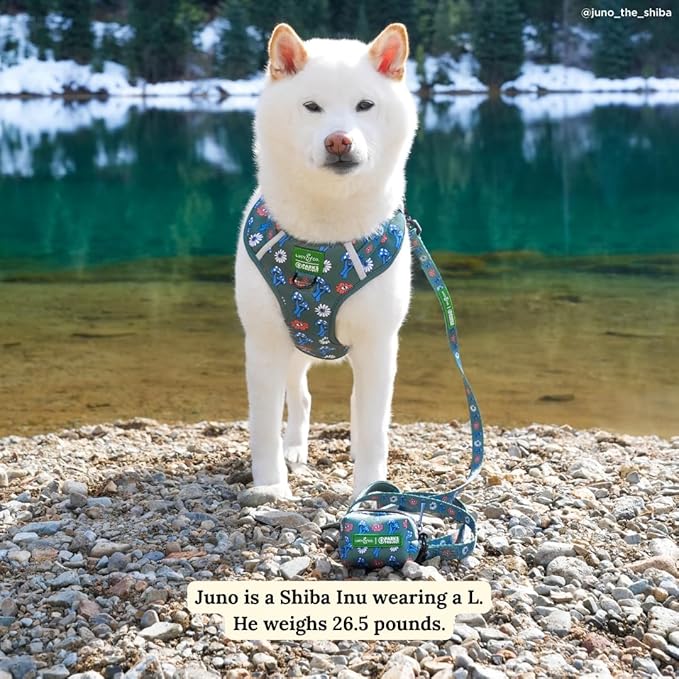 Lucy & Co. x Parks Project Power to the Parks Dog Leash, Durable Matching Dog Lead with Heavy Duty Hardware, Small