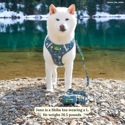 Lucy & Co. x Parks Project Power to the Parks Dog Leash, Durable Matching Dog Lead with Heavy Duty Hardware, Small