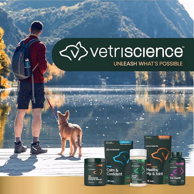 VetriScience Pinchers Pill Hiders Chews, Non-Greasy with Probiotics for Dogs, Disguise Small Capsules and Tablets, Soft and Chewy, Gut and Immune Support, Peanut Butter, 45 Count
