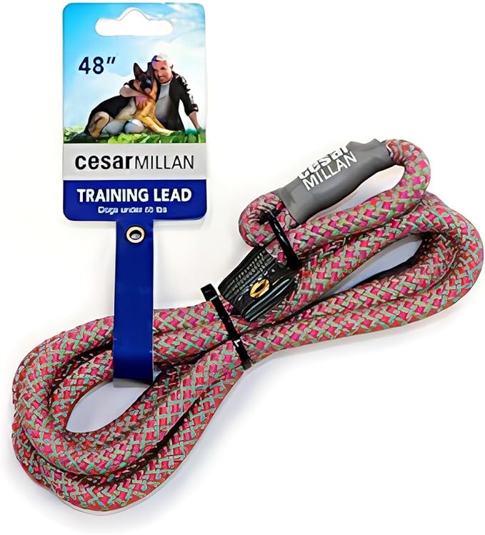 Cesar Millan Slip Lead Leash | Dog Leash | in Training Leash | (Regular, Pink/Gray)
