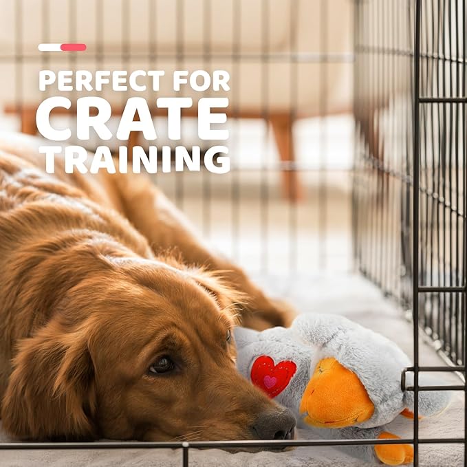 ALL FOR PAWS Heartbeat Puppy for Dogs, Dog Anxiety Relief and Calming Aid Toys, Heartbeat Stuffed Animal Toy for Behavioral Training, Snuggling Plush Toy for Puppy Sleep Aid, Grey Sheep