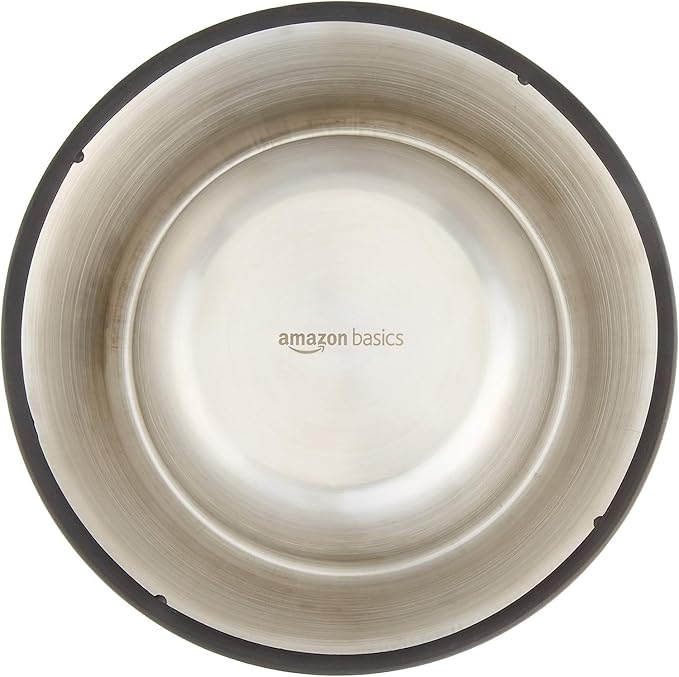 Amazon Basics Stainless Steel Non-Skid Dog Water And Food Bowls, Dishwasher Safe, Rust Resistant, 38oz Capacity, 10 x 2.8 Inches, 2-Pack