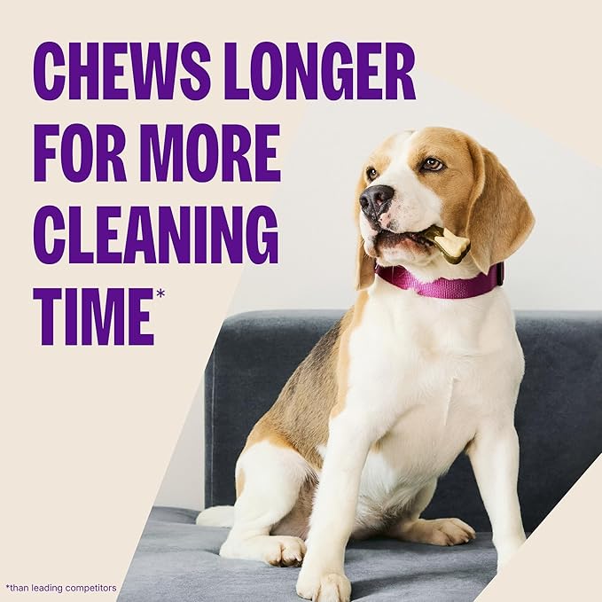 Whimzees Wellness Brushzees Dog Dental Treat, VOHC Accepted Chews, Freshens Breath, Medium Size, 4.2 oz Bag, 4 Count