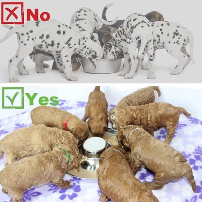 Stainless Steel Puppy Dog Bowls, Pets Puppies Feeding Food and Water Weaning Bowls Dishes Feeder, 13.4 Inch