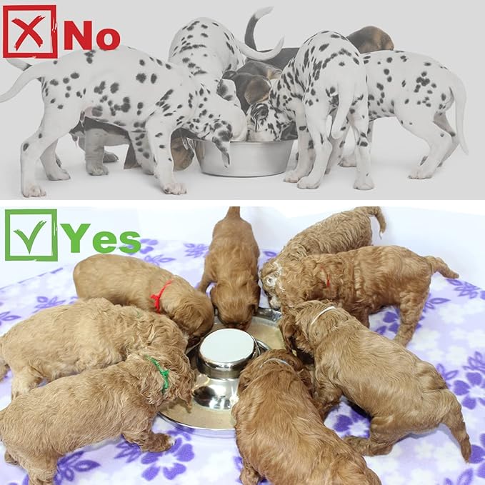 Stainless Steel Puppy Dog Bowls 2 Pack, Pets Puppies Feeding Food and Water Weaning Bowls Dishes Feeder, 13.4 Inch