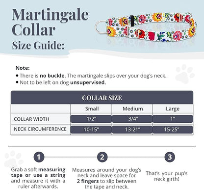 Lucky Love Dog Martingale Dog Collar - Adjustable, No-Slip, Durable, & Soft Webbing Collar for Male and Female Dogs Ideal for Training & Walking - Ladybird, Small