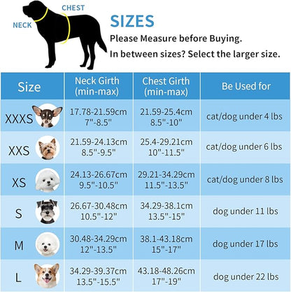 AIITLE Small Dog Harness - Breathable Double-Layer Jacquard No-Choke Vest, Durable Anti-Tear Fabric with Reflective Trim - Perfect for Running, Parties, Daily Walks (Turquoise, XS)