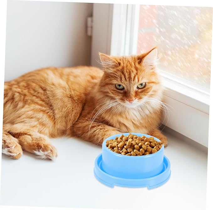 Plastic Feeding Bowl Pet Water and Food Dispenser for Dogs Lightweight and Easy to Material for Indoor Use