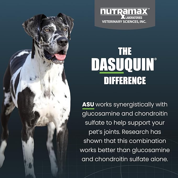 Nutramax Dasuquin for Large Dogs, Joint Health Supplement, Contains Glucosamine for Dogs, Plus Chondroitin, ASU, MSM and More, Supports Healthy Joints, Soft Chews, 150 Count