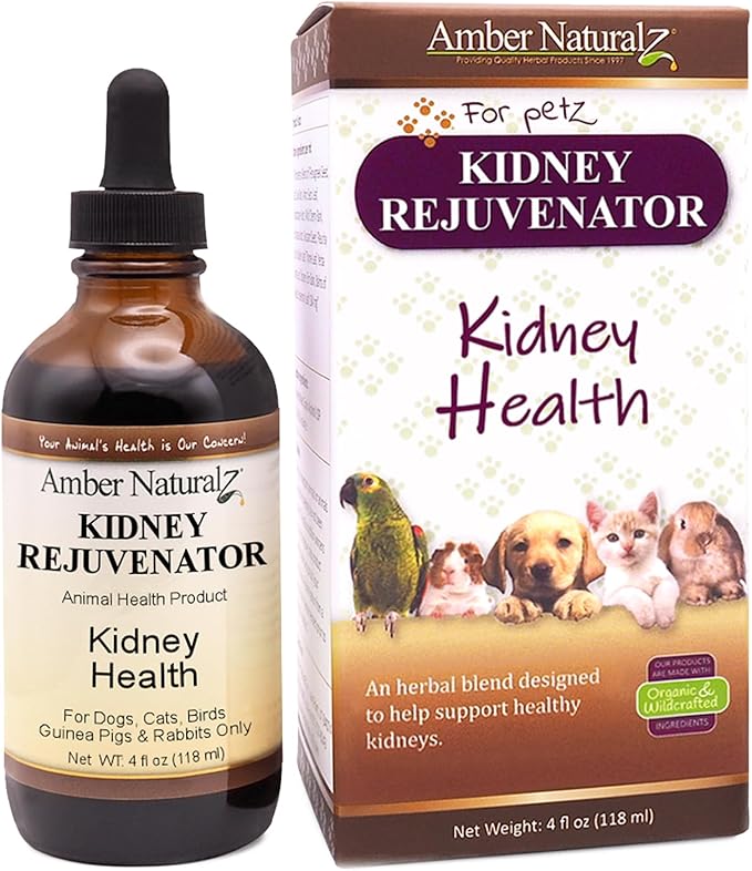 Amber NaturalZ Kidney Rejuvenator Herbal Supplement for Dogs, Cats, Birds, Rabbits, and Guinea Pigs | Supports Normal Kidney Function | Natural Aid for Kidney Health 4 Fluid Ounces