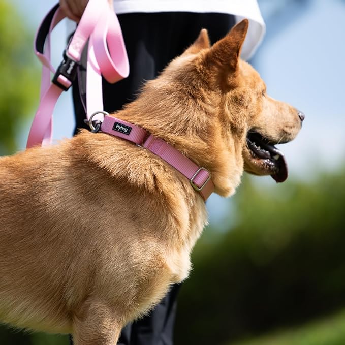 Hyhug Martingale Collar for Dogs Small Pink |Escape - Proof Heavy Duty Nylon Durable No Buckle, Ideal for Training & Daily Walks