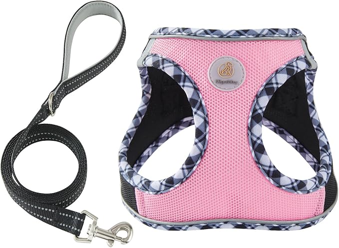 Hipubby Dog Harness Small Sized and Leash Set, No Pull Soft Mesh Puppy Vest, Reflective Breathable Lightweight Pet Harness, Harness for Small Medium Dogs and Cats - Black Pink, XXS