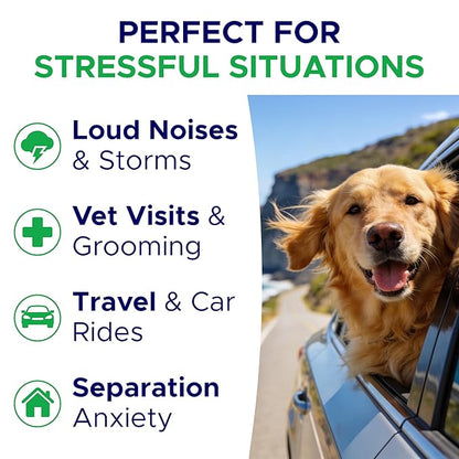Advanced Calming Chews for Dogs - Hemp Treat + Melatonin + Valerian - Relaxing Bites - Calming Care - Stress Relief - Made in USA - Calm, Sleep Aid, Storms - 60Ct