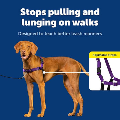 PetSafe Easy Walk Harness for Dogs - Pull-Free Walks - Patented Martingale Loop Design - Front Chest Leash Attachment - Comfort Straps - Breathable Harness Design - Medium, Deep Purple/Black