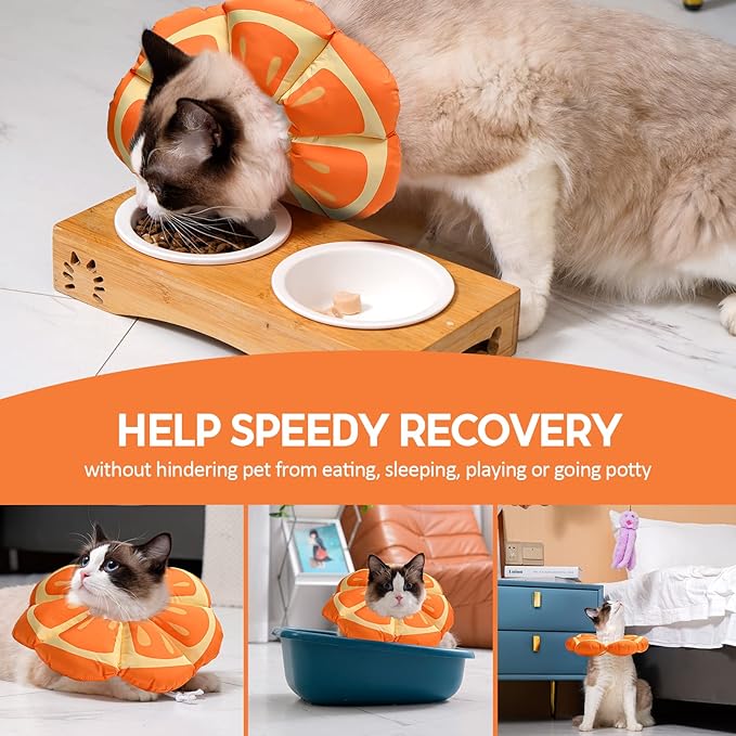 Avont Cat Cone Collar Soft, Adjustable Recovery E Collar Alternative for Cats Kittens Puppies, Elizabethan Neck Cone of Shame to Prevent Licking Biting After Surgery Protect Wounds -Tangerine(M)