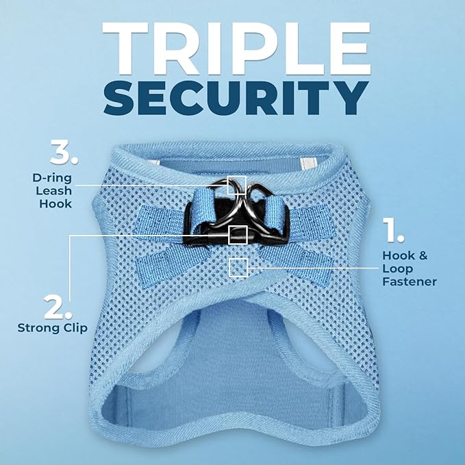 Best Pet Supplies Voyager Step-in Air All Weather Mesh Harness and Reflective Dog 5ft Leash Combo with Neoprene Handle, for Small, Medium and Large Breed Puppies - Set (Baby Blue), X-Large