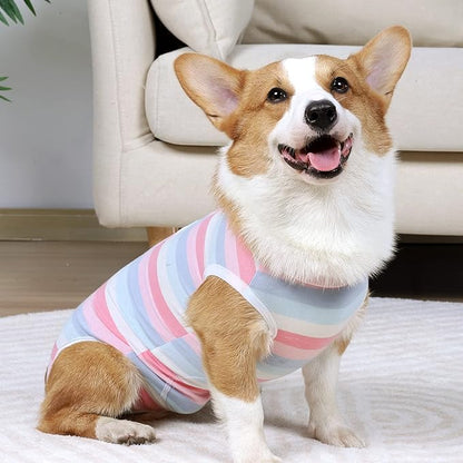 Coppthinktu Recovery Suit for Dogs Dog Onesie for Surgery, Dog Surgery Recovery Suit for Small Medium Dogs, E-Collar Alternative Anti Licking Abdominal Wounds Pet Surgery Recovery Neuter Suit