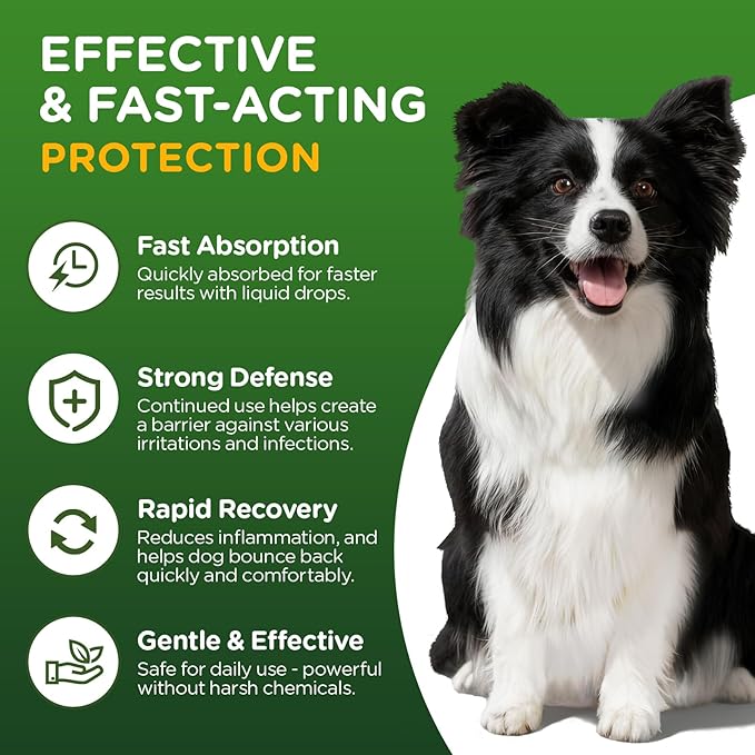 Antibiotics for Dogs,Natural Antibiotics for Dogs,Pet Antibiotic,Supplement for Urinary Tract Support, Digestion & Skin Health,Dog Allergy and Itch,Natural Herbal Supplement