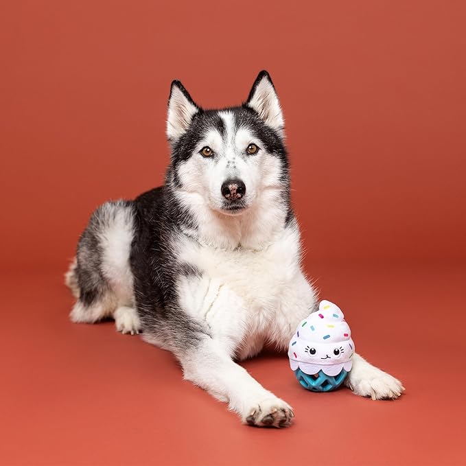 Fringe Studio Rubber Dog Toy, HERE for The Cupcakes, Pet Shop Collection (519079)