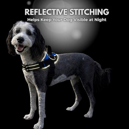 ShawnCo Essential Dog Harness, No-Pull Pet Vest with 3 Leash Clips, No Choke, Reflective, Adjustable and Padded, for Easy Walking and Training for Small, Medium and Large Dogs (Military Camo, S)