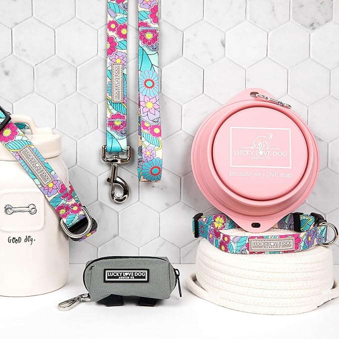Lucky Love Dog Martingale Collar and Leash Set, Premium No Slip Martingale Collar for Dogs, Great for Whippets, Greyhounds, and More (Caroline, Small - Combo)