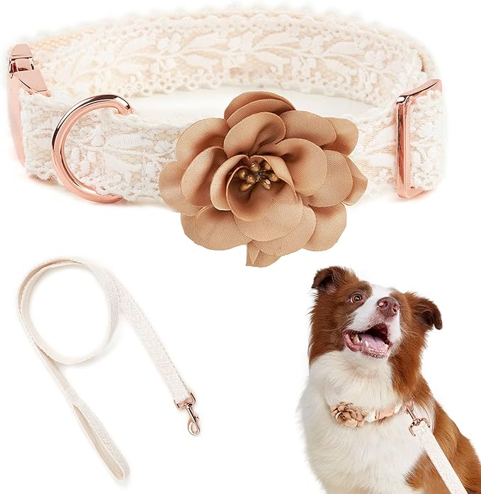 Small Dog Collar and Leash Set Cotton Lace Handmade Embroidered Puppy Cat Pet Collar with Bow Flowers for Wedding Birthday Party,S