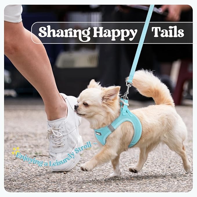 rabbitgoo Dog Harness Small Medium Sized and Leash Set, Step in Soft Light Puppy Vest, Breathable Mesh Pet Harness, Reflective for Safe Easy Walking, Mint Blue XL