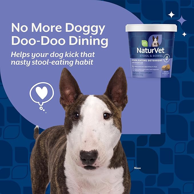 NaturVet – Coprophagia Stool Eating Deterrent Plus Breath Aid – Deters Dogs from Consuming Stool – Enhanced with Breath Freshener, Enzymes & Probiotics – 70 Soft Chews