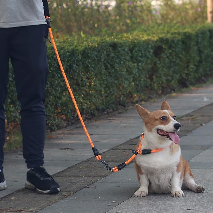 Reflective Slip Collar, Dog Choker, Nylon Training Collar With Slidable Stopper No Pull Martingale for Small Medium Large Dogs, Orange, M