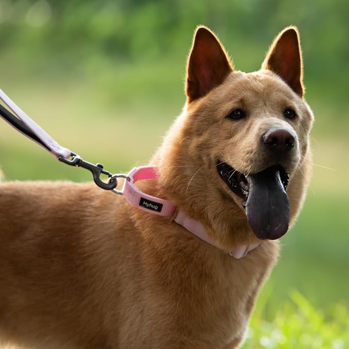 Hyhug Martingale Collar for Dogs Small Pink |Escape - Proof Heavy Duty Nylon Durable No Buckle, Ideal for Training & Daily Walks