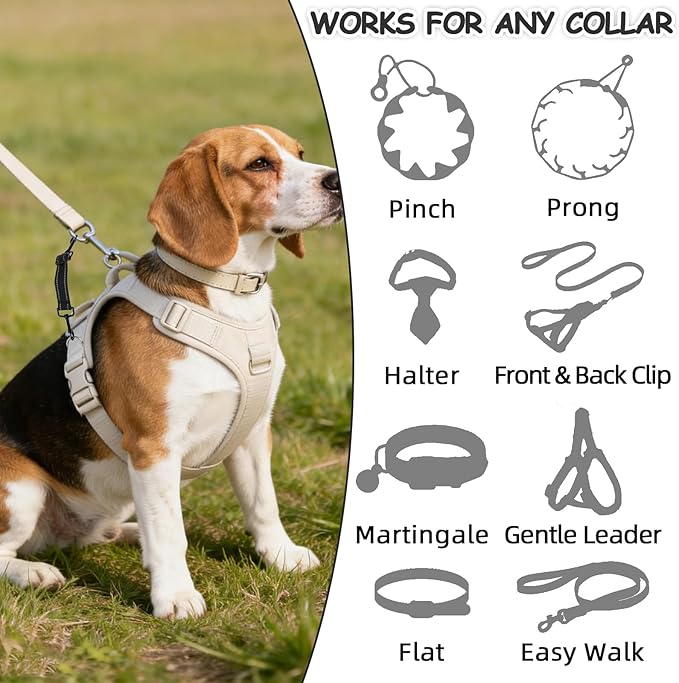 YUEPET Dog Safety Collar Clips 2 Pack Adjustable Prong Collar Backup Clips Reflective Double Ended Backup Clasp Leash Connector for Dog Harness to Collar Safety Clip(Trapezoid Black*2)