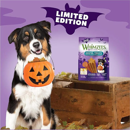 Wellness WHIMZEES Fall Dog Dental Treat, Autumn Halloween Seasonal Gift, Chews, Freshens Breath, Medium Size, 6.3 oz Bag, 6 Count