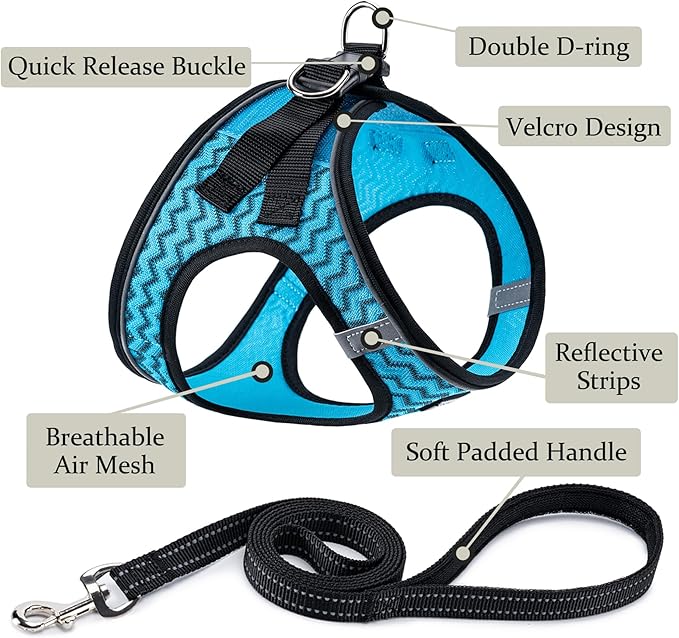 BOOMIBOO Dog Harness with Leash Set, No Pull Adjustable Reflective Step-in Puppy Pet Vest Harnesses for Small Medium Large Dogs and Cats,Blue Stripe S