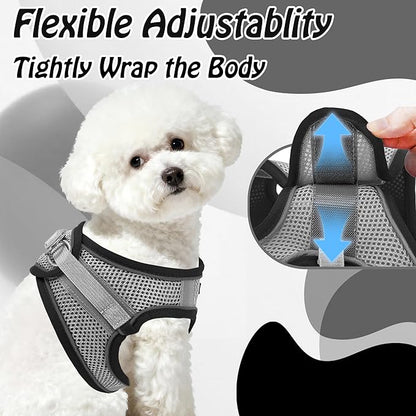 AIITLE Comfortable Dog Harness and Leash Set for Walking - Step in Vest Harness,Reflective Bands, Adjustable No Pull Puppy Essentials, for Small Dogs and House Cats Black XS