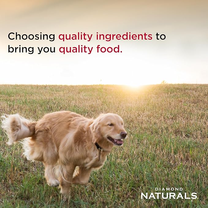 Diamond Naturals Senior Real Meat Recipe Premium Dry Dog Food With Real Cage Free Chicken 6lb
