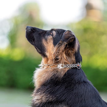 Herm Sprenger Matte Stainless Steel Scratch Resistant Dog Collar with Swivel D-Ring Training Collar for Small Dogs Made in Germany (16in x 2.25mm (Neck Size up to 13 in) | Matte)