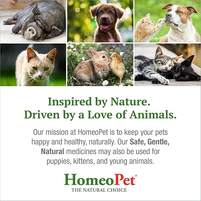 HomeoPet Liver Rescue, Safe and Natural Liver-Support Supplement for Cats, Dogs, and Other Small Animals, 15 Milliliters