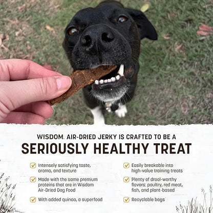 Earth Animal Wisdom Air Dried Jerky - Chicken Recipe Premium Natural Jerky Strips Dog Treats - 4 oz Bag