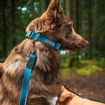 Wilderdog Waterproof Dog Collar - Repels Water & Dirt - Large 17"-24" - Pacific Blue