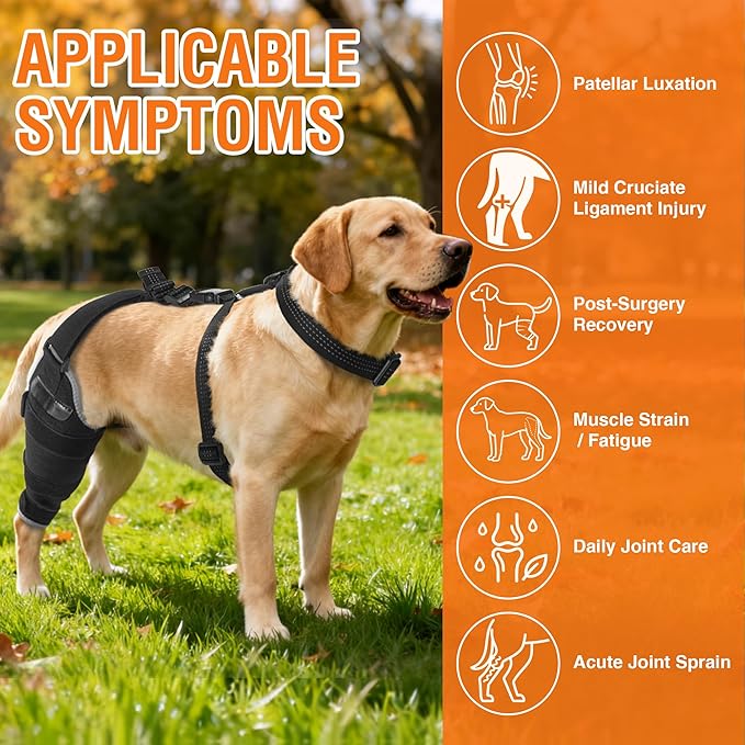 Dog ACL Knee Brace for Rear Leg – Adjustable Back Leg Support with Hot/Cold Gel Pack for Cruciate Ligament Rehab, Joint Pain & Swelling Relief – Reflective, Right Leg, Size XL