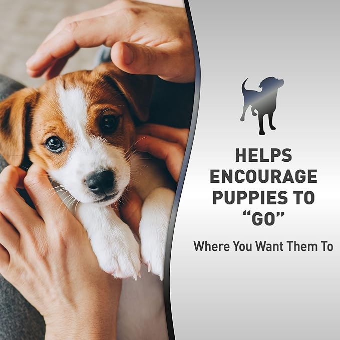 Nature's Miracle Advanced Platinum Puppy Potty Training Spray 8 Oz, Dog Training Aid