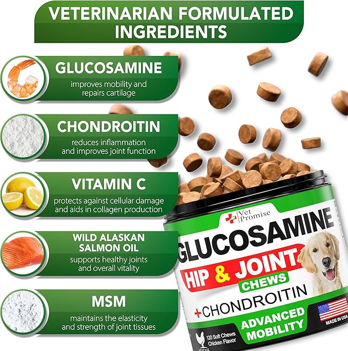 Vet Promise Glucosamine for Dogs - Hip and Joint Supplement for Dogs - Glucosamine Chondroitin - Joint Pain Relief Pills - MSM - Advanced Health Support Supplement - 120 Mobility Chews - Made in USA