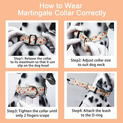 Reflective Martingale Collar for Dogs Nylon Training Collar with No Buckle Cute Floral No Pull Dog Collar for Small Dogs（White Flower，S）